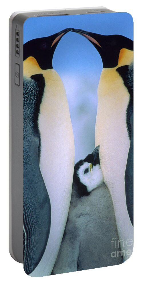 00140141 Portable Battery Charger featuring the photograph Emperor Penguin Family #1 by Tui de Roy