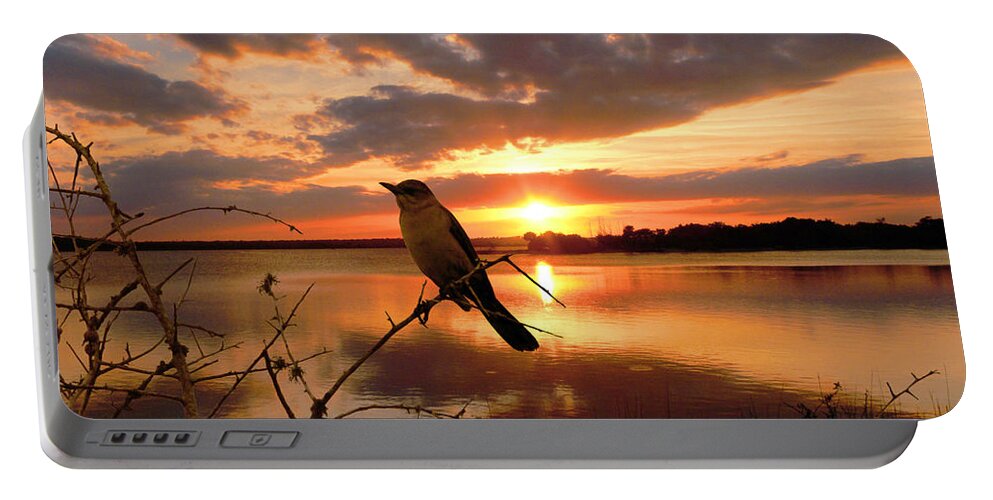 Sunset Portable Battery Charger featuring the photograph Enjoying the Sunset by Michele A Loftus