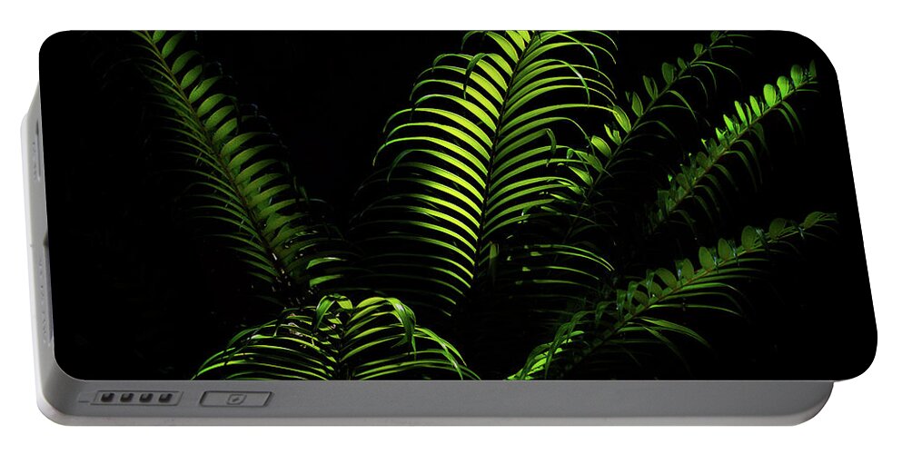 Fern Portable Battery Charger featuring the photograph Ferns #1 by Camille Lopez
