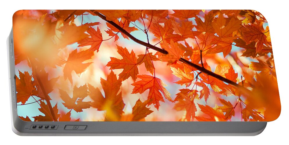 Leaves Portable Battery Charger featuring the photograph Field of Orange #1 by Todd Klassy