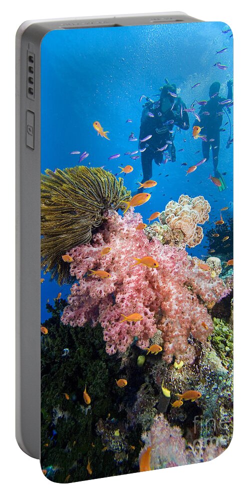 Alcyonarian Portable Battery Charger featuring the photograph Fiji Underwater #1 by Dave Fleetham - Printscapes