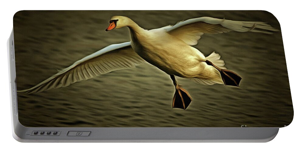 Chiaroscuro Portable Battery Charger featuring the photograph Flying Swan #1 by Michal Boubin