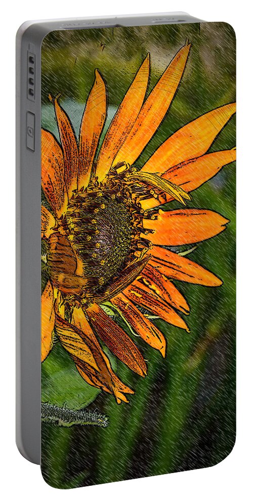 Nature Portable Battery Charger featuring the photograph Following The Sun #2 by Leticia Latocki