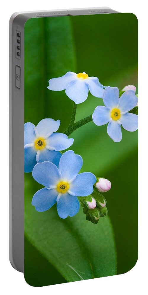 Forget-me-not Portable Battery Charger featuring the photograph Forget-Me-Not #1 by Yuri Peress