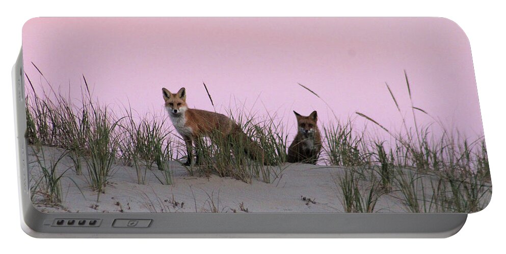 Fox Portable Battery Charger featuring the photograph Fox and Vixen by Robert Banach