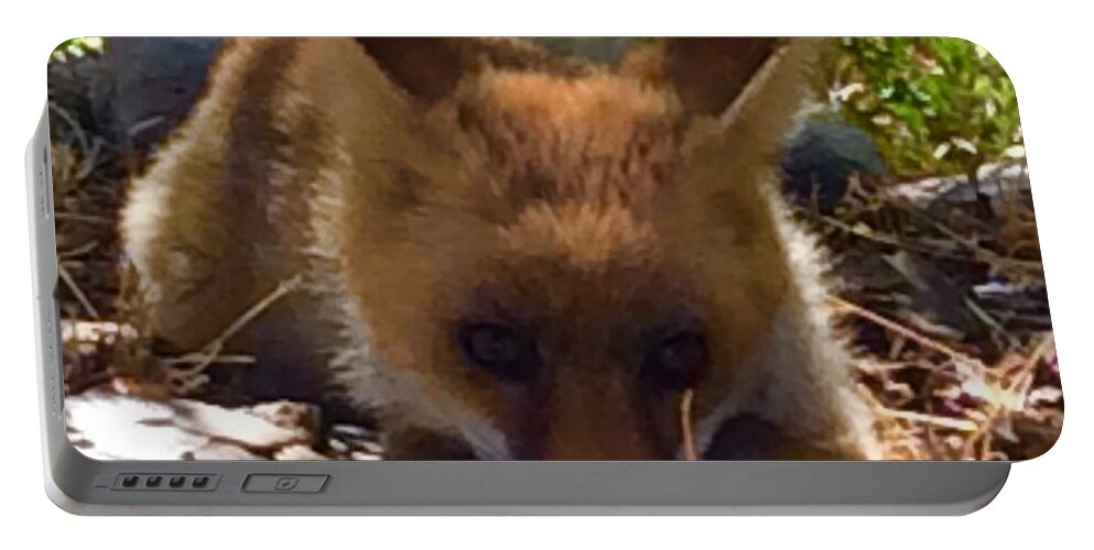 Colette Portable Battery Charger featuring the photograph Fox Joy #2 by Colette V Hera Guggenheim