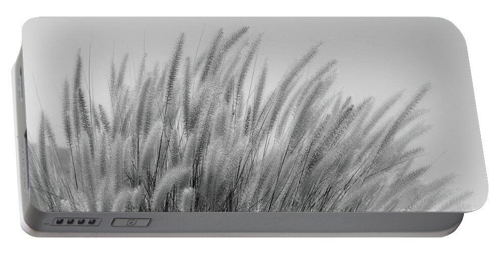 Black And White Portable Battery Charger featuring the photograph Foxtails on a Hill in Black and White by Leah McPhail