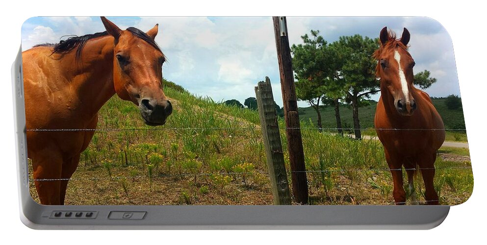 Horse Portable Battery Charger featuring the photograph Friendly Stallions #1 by Kenny Glover