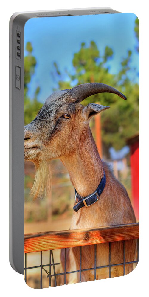 Animal Portable Battery Charger featuring the photograph Goat #1 by Brian Cross