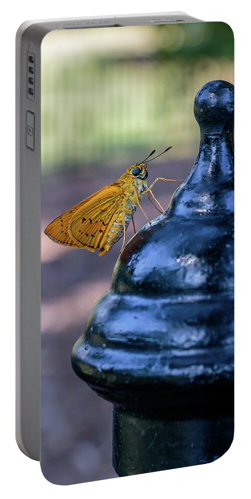 Botanic Garden Portable Battery Charger featuring the photograph Golden Moth #1 by Ray Shiu