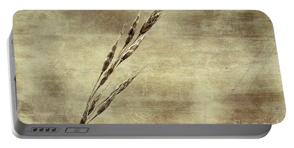 Grass Portable Battery Charger featuring the photograph Grass Seeds #2 by Les Palenik
