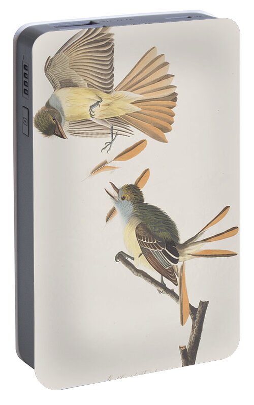 Great Crested Flycatcher Portable Battery Charger featuring the painting Great Crested Flycatcher by John James Audubon