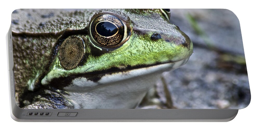 Frog Portable Battery Charger featuring the photograph Green Frog #1 by Michael Peychich
