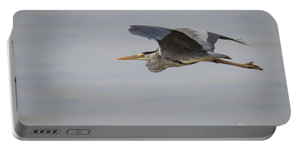 Animalia Portable Battery Charger featuring the photograph Grey Heron #1 by Jivko Nakev