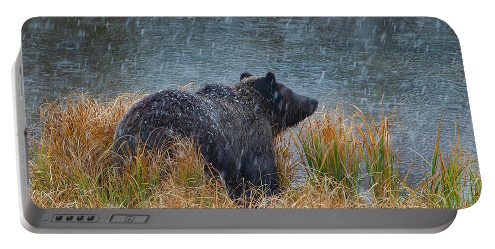 Mark Miller Photos Portable Battery Charger featuring the photograph Grizzly in Falling Snow by Mark Miller
