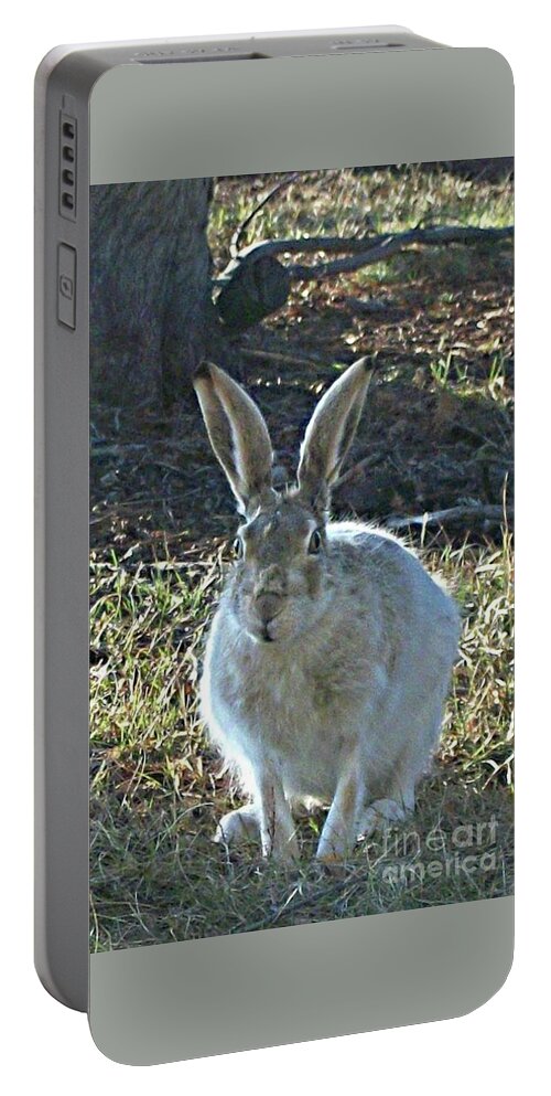 Hare Portable Battery Charger featuring the photograph Hare by 'REA' Gallery