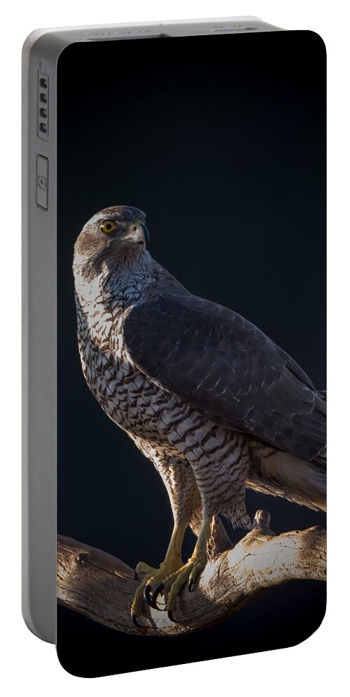 Hawk-eye Portable Battery Charger featuring the photograph Hawk-eye by Torbjorn Swenelius