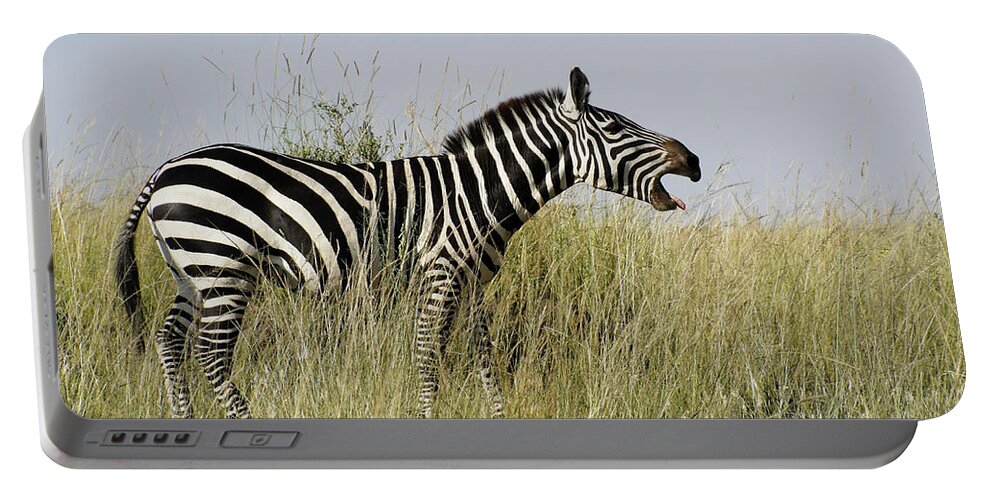Africa Portable Battery Charger featuring the photograph Horse Laugh #1 by Michele Burgess