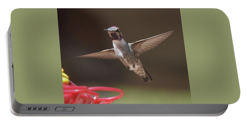 Hummingbirds Portable Battery Charger featuring the photograph Hummingbird Anna's In Flight #1 by Jay Milo
