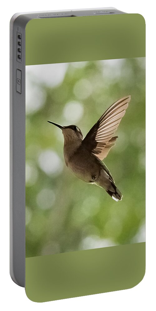 Hummingbird Portable Battery Charger featuring the photograph Hummingbird #1 by Holden The Moment