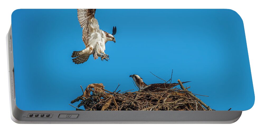 Raptor Portable Battery Charger featuring the photograph Incoming by Cathy Kovarik