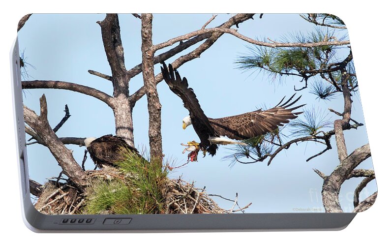 Eagles Portable Battery Charger featuring the photograph Incoming Food #2 by Deborah Benoit