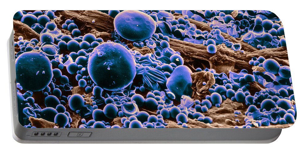 Science Portable Battery Charger featuring the photograph Ink Droplets On Transfer Paper Sem #2 by Biophoto Associates