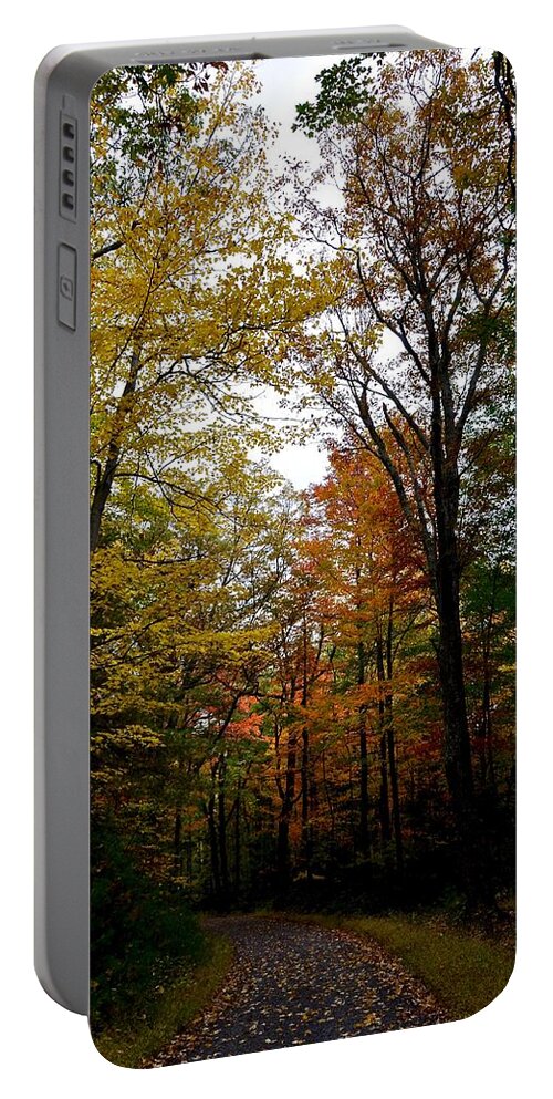 #mohonk Preserve Portable Battery Charger featuring the photograph Inside The Color #1 by Cornelia DeDona