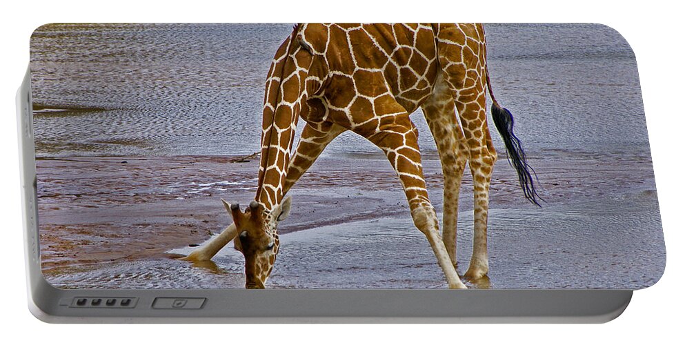 Africa Portable Battery Charger featuring the photograph It's a Long Way Down #1 by Michele Burgess