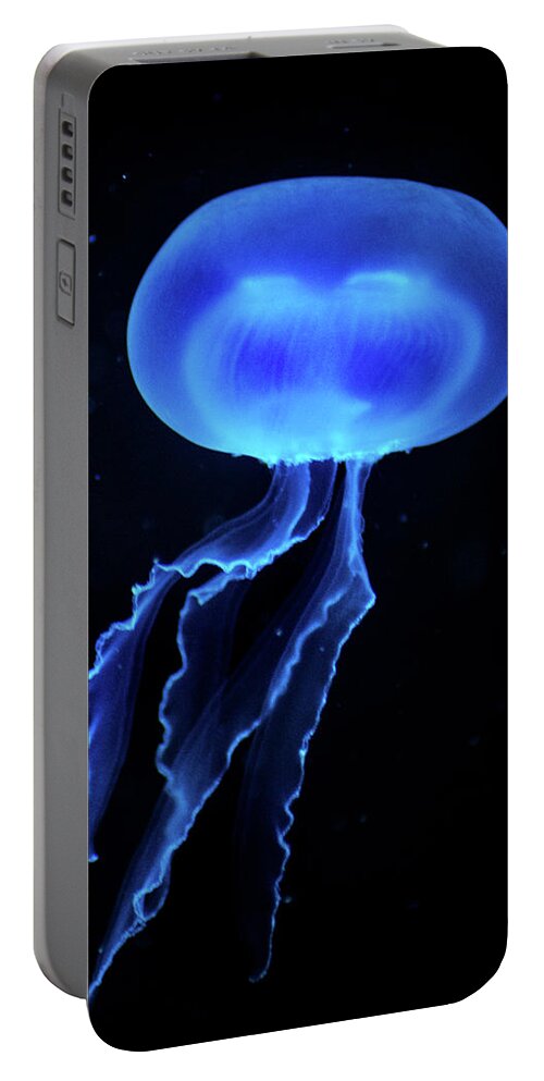 Jellyfish Portable Battery Charger featuring the photograph Jellyfish #1 by Don Johnson