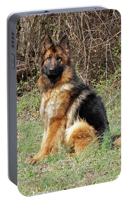 German Shepherd Portable Battery Charger featuring the photograph Jessy #1 by Sandy Keeton