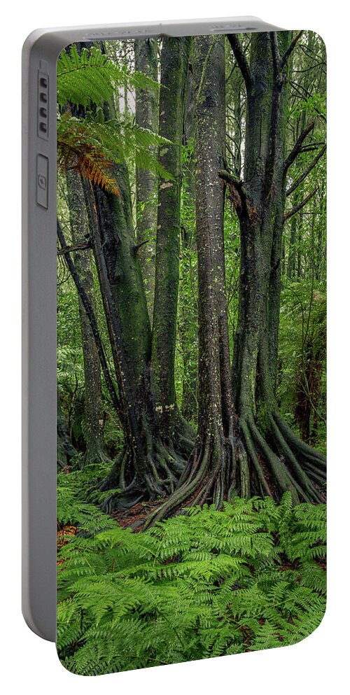 Rain Forest Portable Battery Charger featuring the photograph Jungle trunks 1 by Les Cunliffe