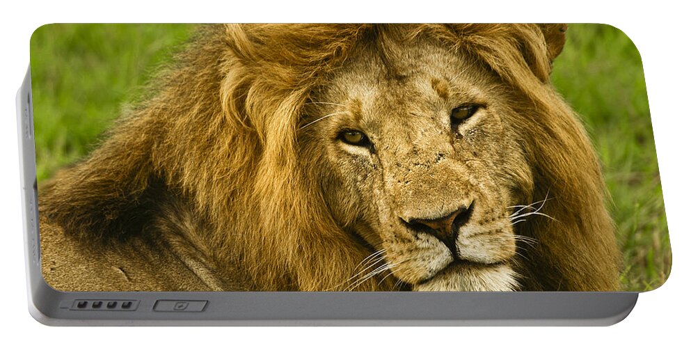 Lion Portable Battery Charger featuring the photograph King of the Savanna #1 by Michele Burgess