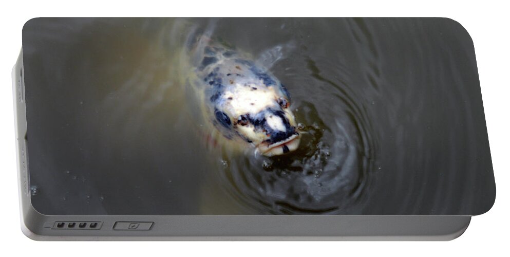 Koi Portable Battery Charger featuring the photograph Koi #1 by Carol Eliassen
