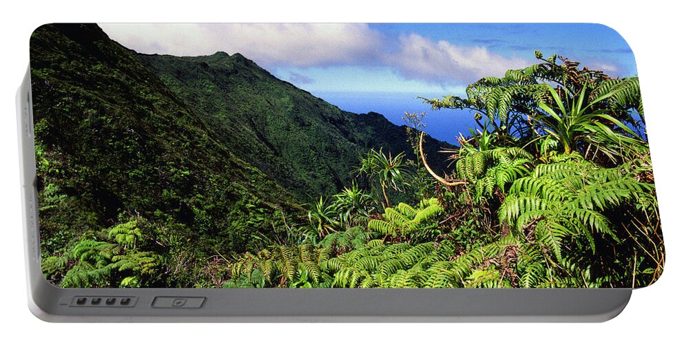 Hapu Tree Ferns Portable Battery Charger featuring the photograph Koolau Summit Trail #4 by Thomas R Fletcher