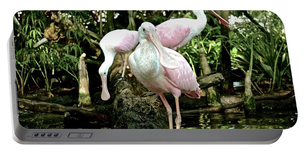 Wetlands Portable Battery Charger featuring the photograph Leader of the Pack #1 by Carol Bradley