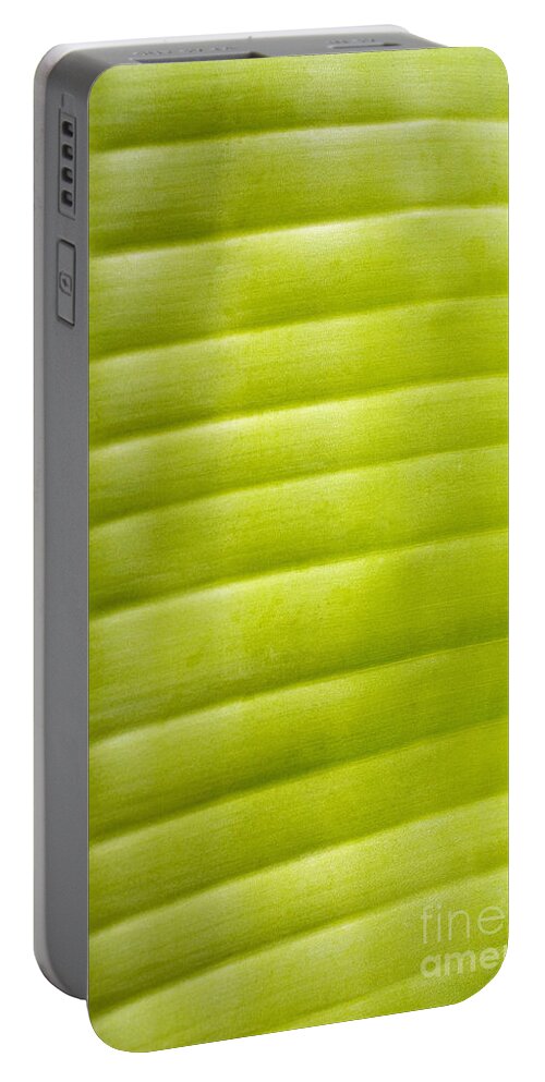 Botanical Portable Battery Charger featuring the photograph Leaf Close-Up #1 by Tomas del Amo - Printscapes