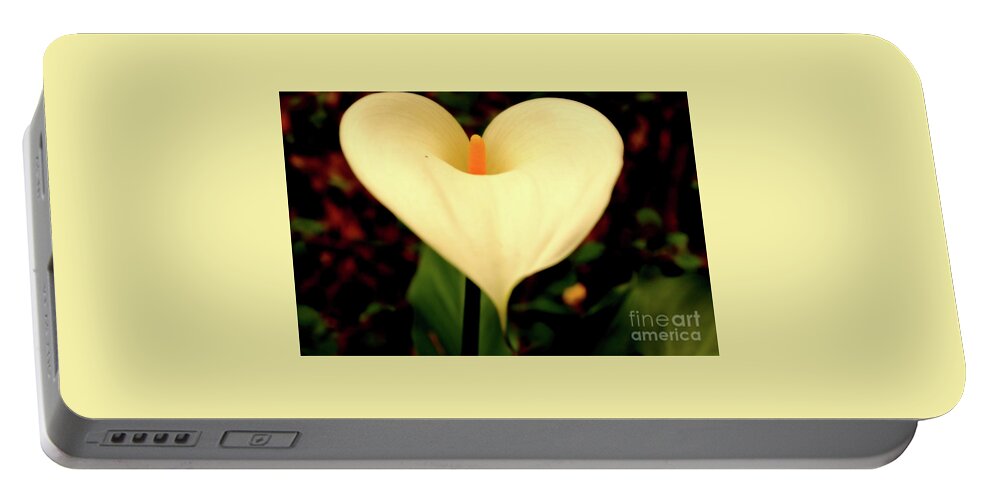 Lily Portable Battery Charger featuring the photograph Lily of the Valley #1 by Cassandra Buckley