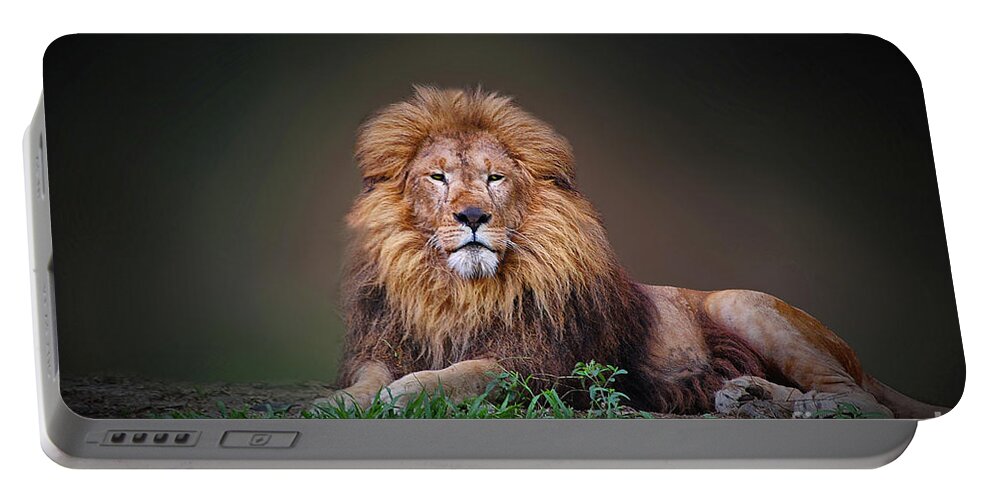 Lion Portable Battery Charger featuring the photograph Lion King #1 by Charuhas Images