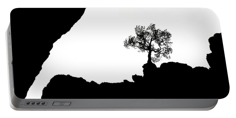 Tree Portable Battery Charger featuring the photograph Looking Up #1 by Marilyn Hunt