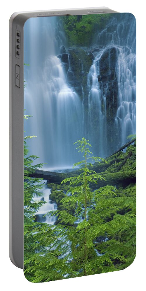 Amazing Portable Battery Charger featuring the photograph Lower Proxy Falls #1 by Greg Vaughn - Printscapes