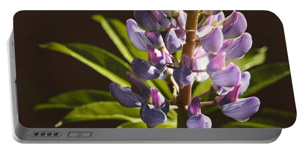 Lupine Portable Battery Charger featuring the photograph Lupines by Holly Ross