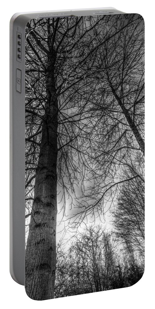 Trees Portable Battery Charger featuring the photograph Majestic Trees #1 by David Pyatt
