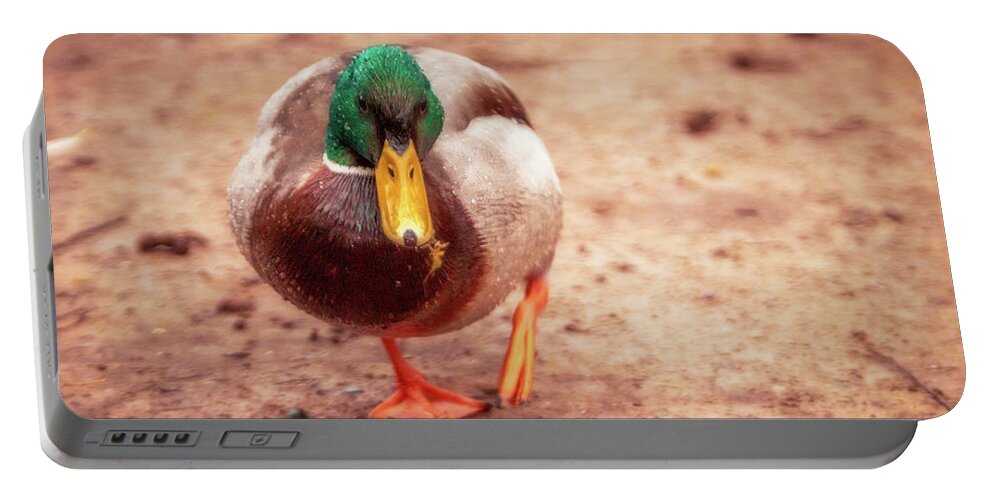 Anas Platyrhynchos Portable Battery Charger featuring the photograph Mallard - Anas platyrhynchos by Marc Braner