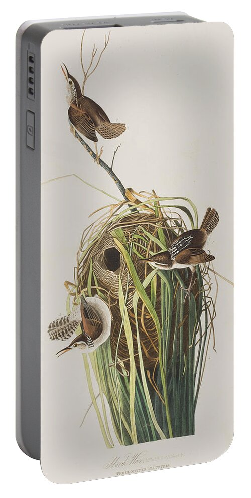 Nest Portable Battery Charger featuring the painting Marsh Wren by John James Audubon
