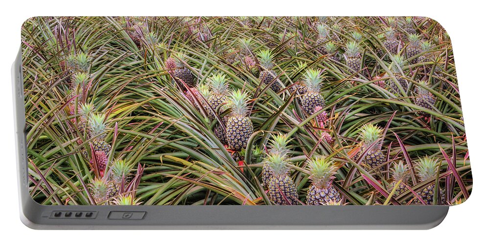 Hawaii Portable Battery Charger featuring the photograph Maui Gold Pineapples #1 by Jim Thompson