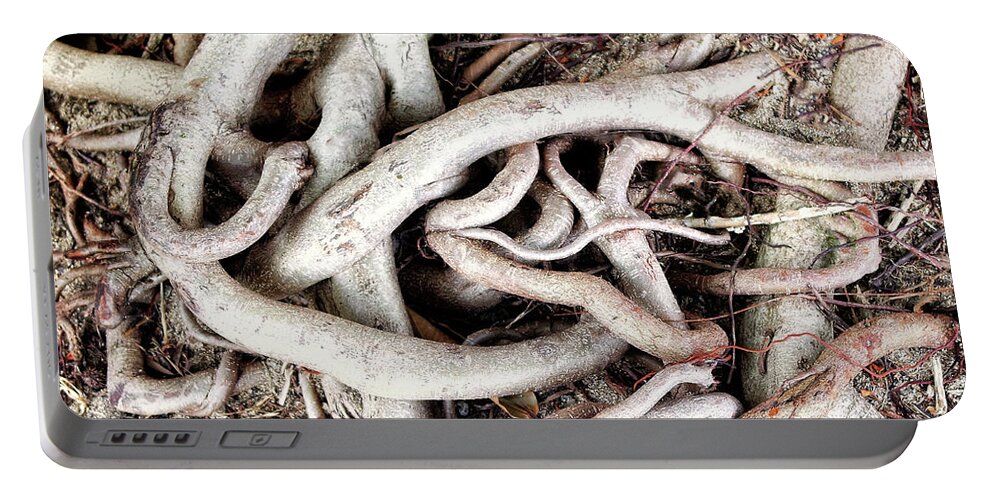 Tree Portable Battery Charger featuring the photograph Maze #1 by Dominic Piperata