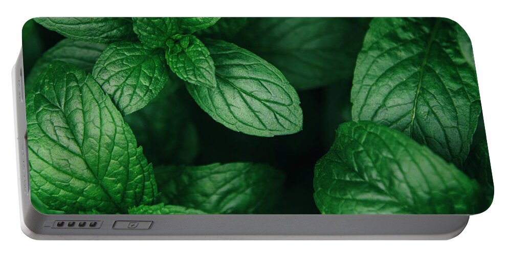 Mint Portable Battery Charger featuring the photograph Mint green leaves pattern background #2 by Jelena Jovanovic