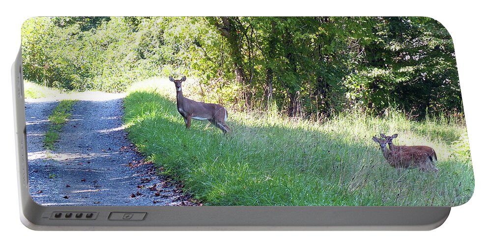 Deer Portable Battery Charger featuring the photograph Mother and Children #1 by Kimmary MacLean