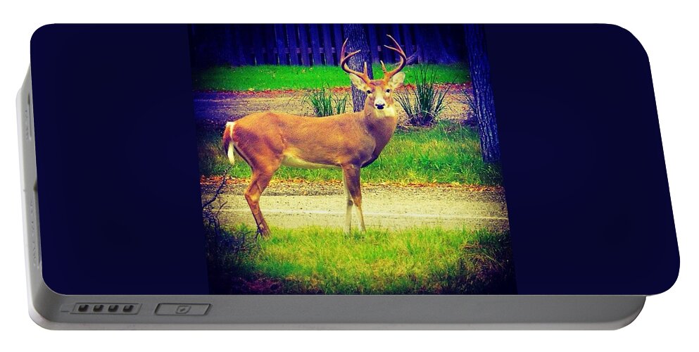 Fawn Portable Battery Charger featuring the photograph Mr. Big #horns Keeps Chasing All The #1 by Austin Tuxedo Cat